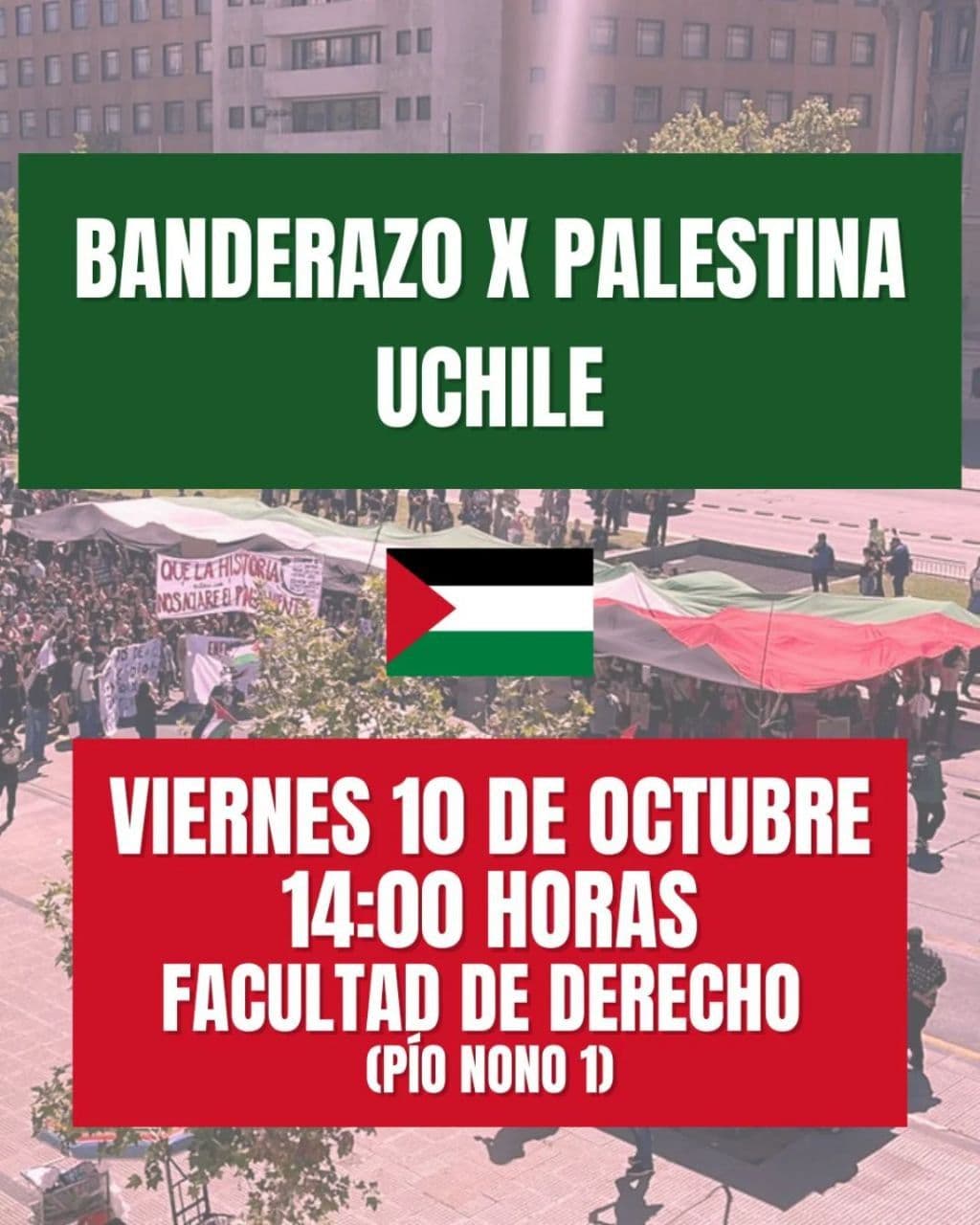 BANDERAZO X PALESTINA UCHILE