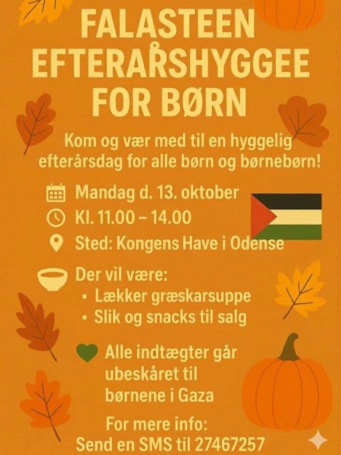 FALASTEEN EFTERARSHYGGEE FOR BORN