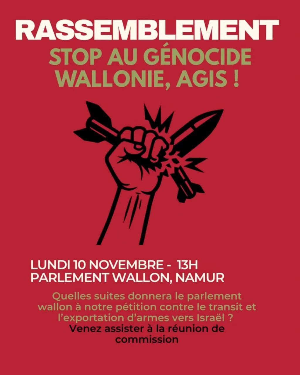 STOP AU GÉNOCIDE WALLONIE, AGIS !