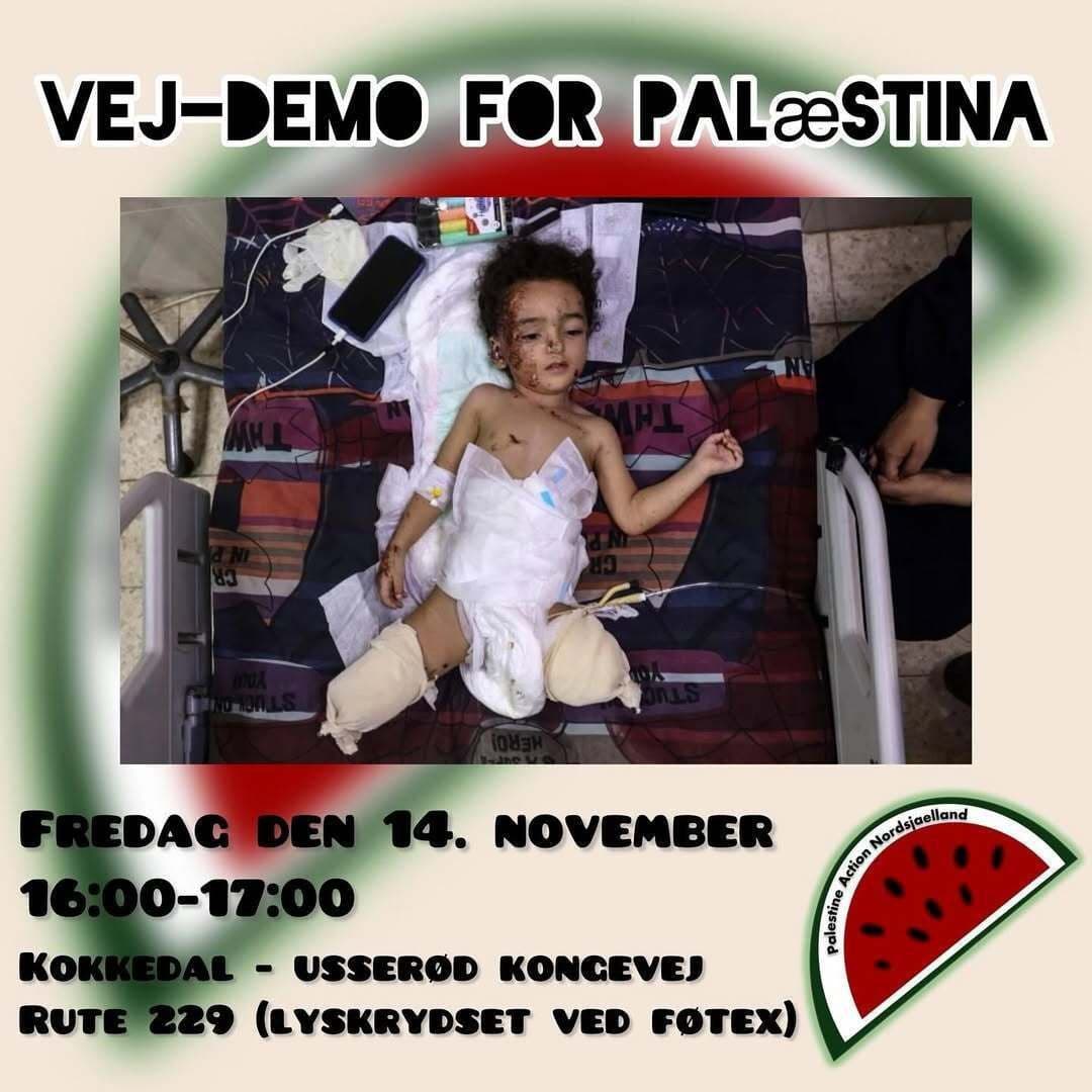 VEJ-DEMO FOR PALæSTINA