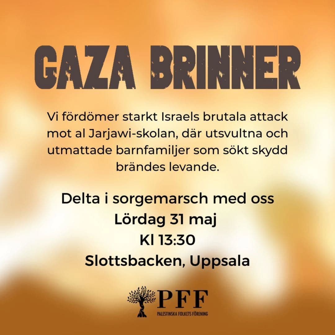GAZA BRINNER
