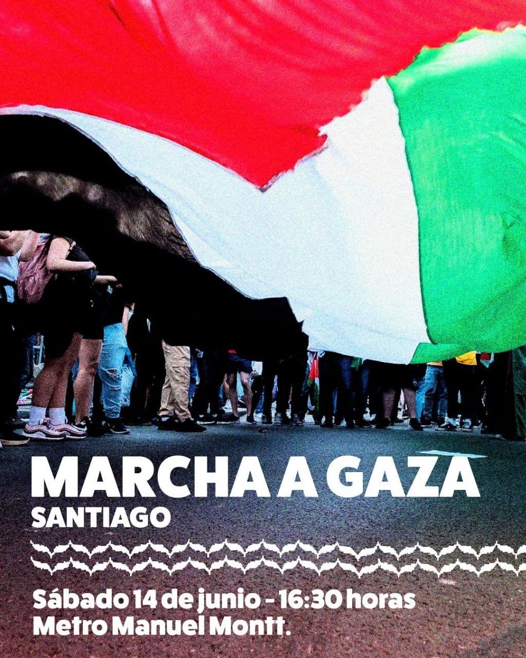 MARCHA A GAZA SANTIAGO