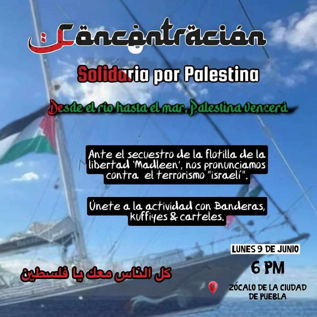 Solidaria por Palestina