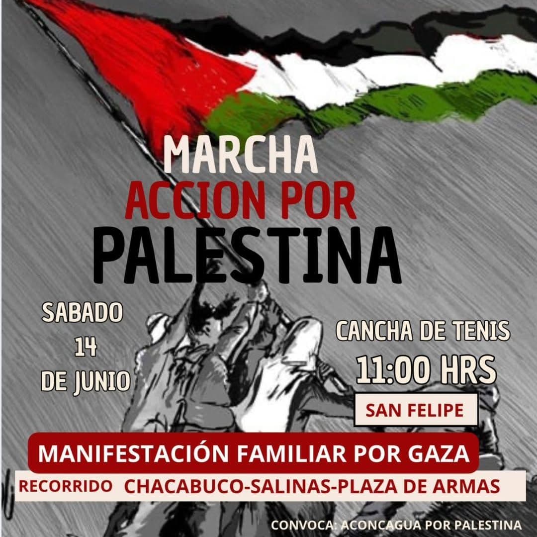 MARCHA ACCION POR PALESTINA