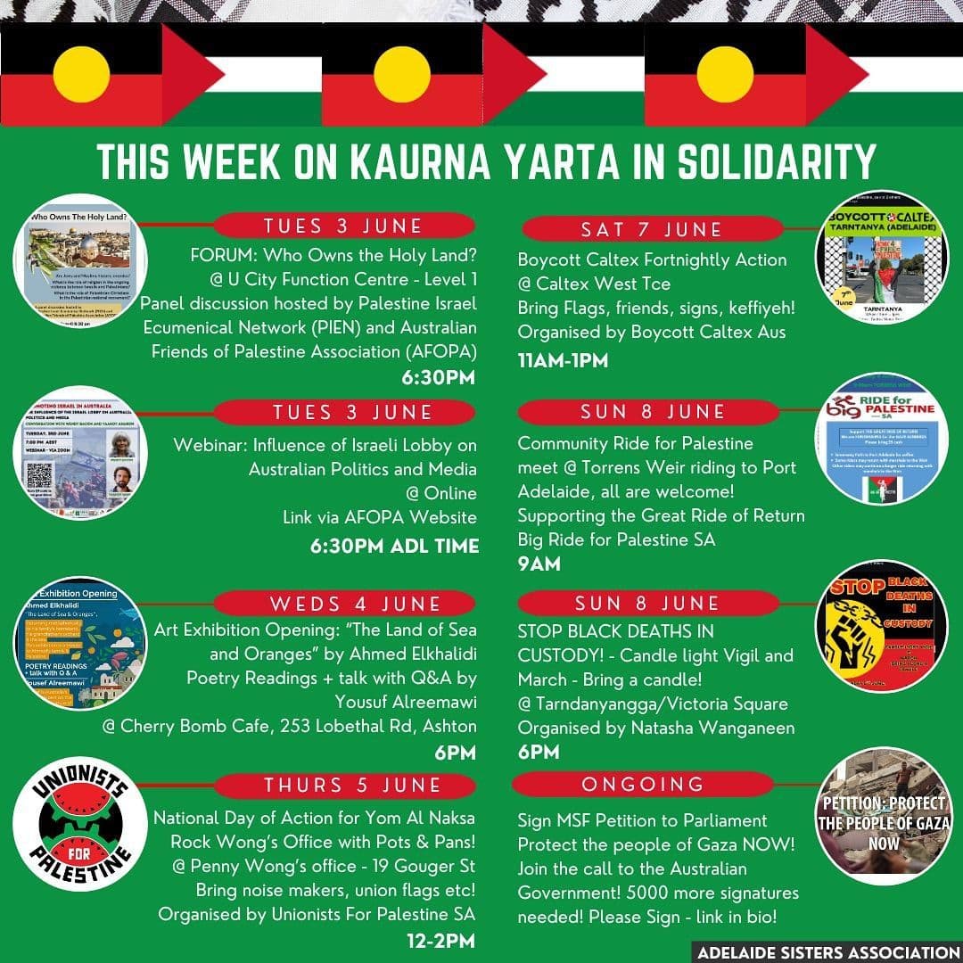THIS WEEK ON KAURNA YARTA IN SOLIDARITY (National Day of Action for Yom Al Naksa Rock Wong's Office with Pots & Pans!)