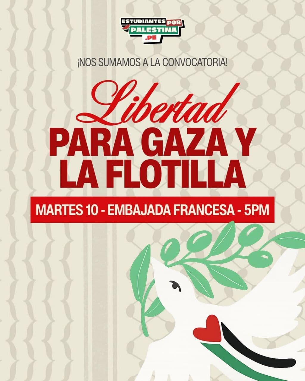 PARA GAZA Y LA FLOTILLA