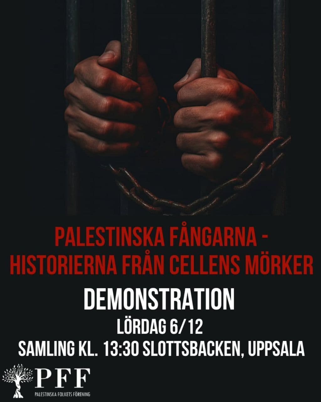 PALESTINSKA FÄNGARNA -
