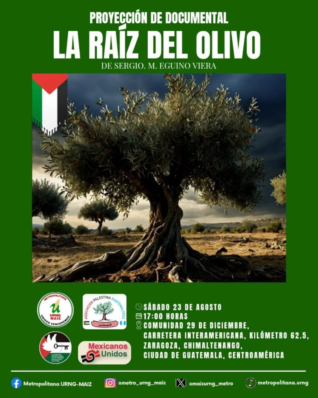 LA RAIZ DEL OLIVO