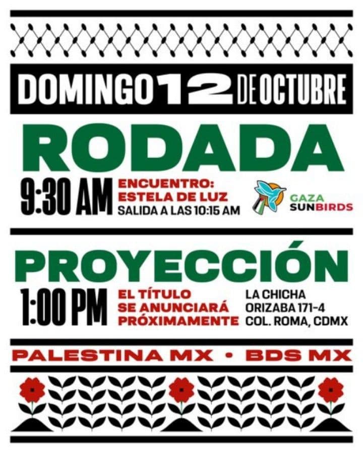 RODADA PROYECCIÓN