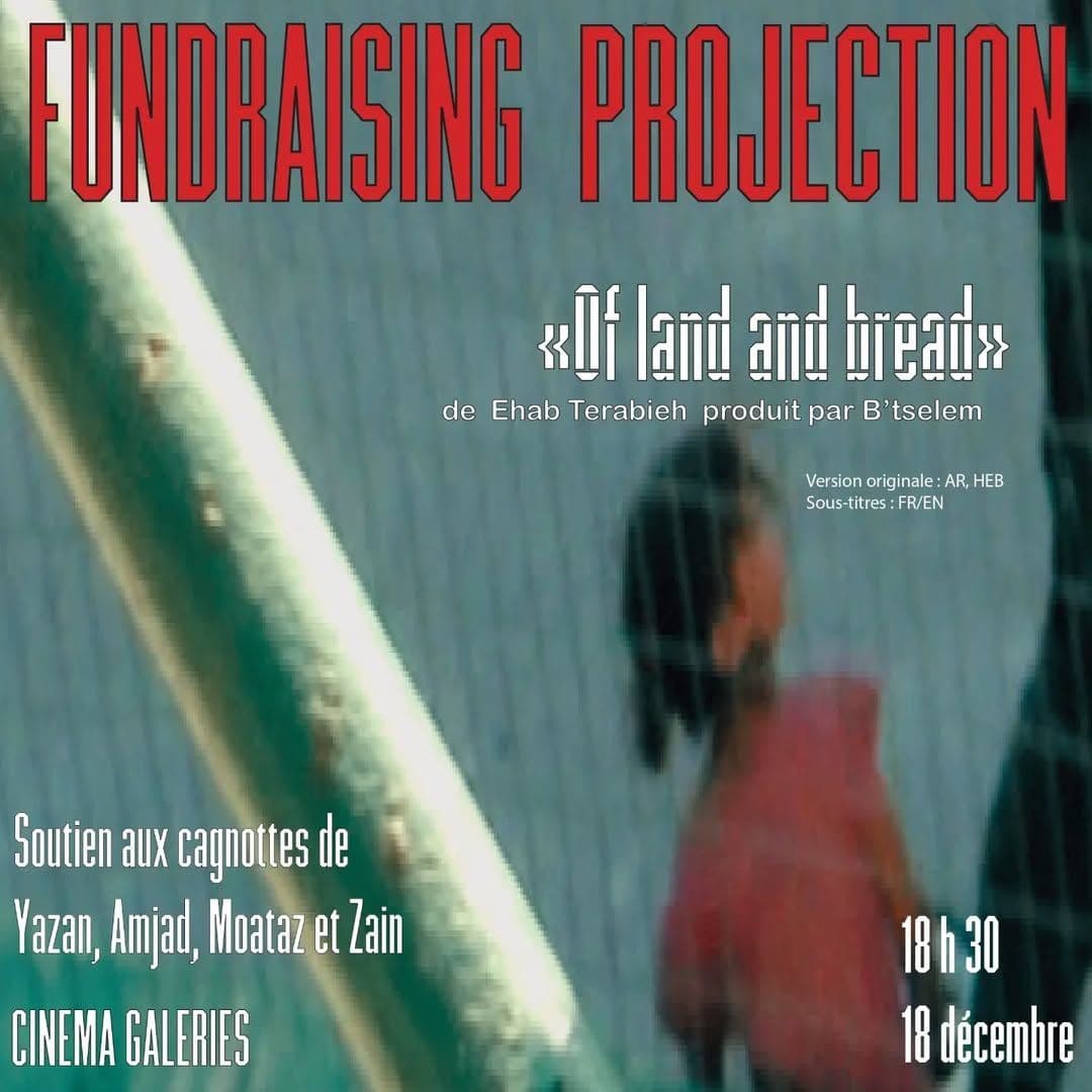 FUNDRAISING PROJECTION