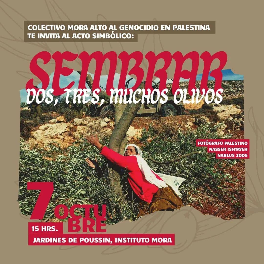 SEMBRAR DOS, TRES, MUCHOS OLIVOS