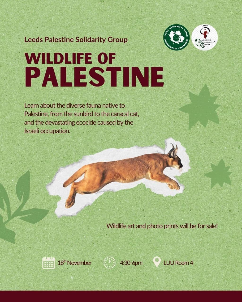 WILDLIFE OF PALESTINE