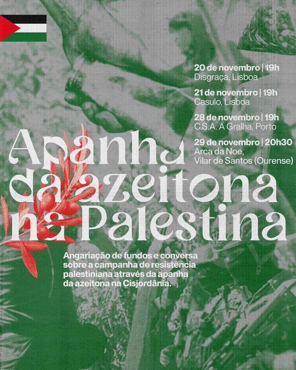 Esta é a minha terra / Ourense