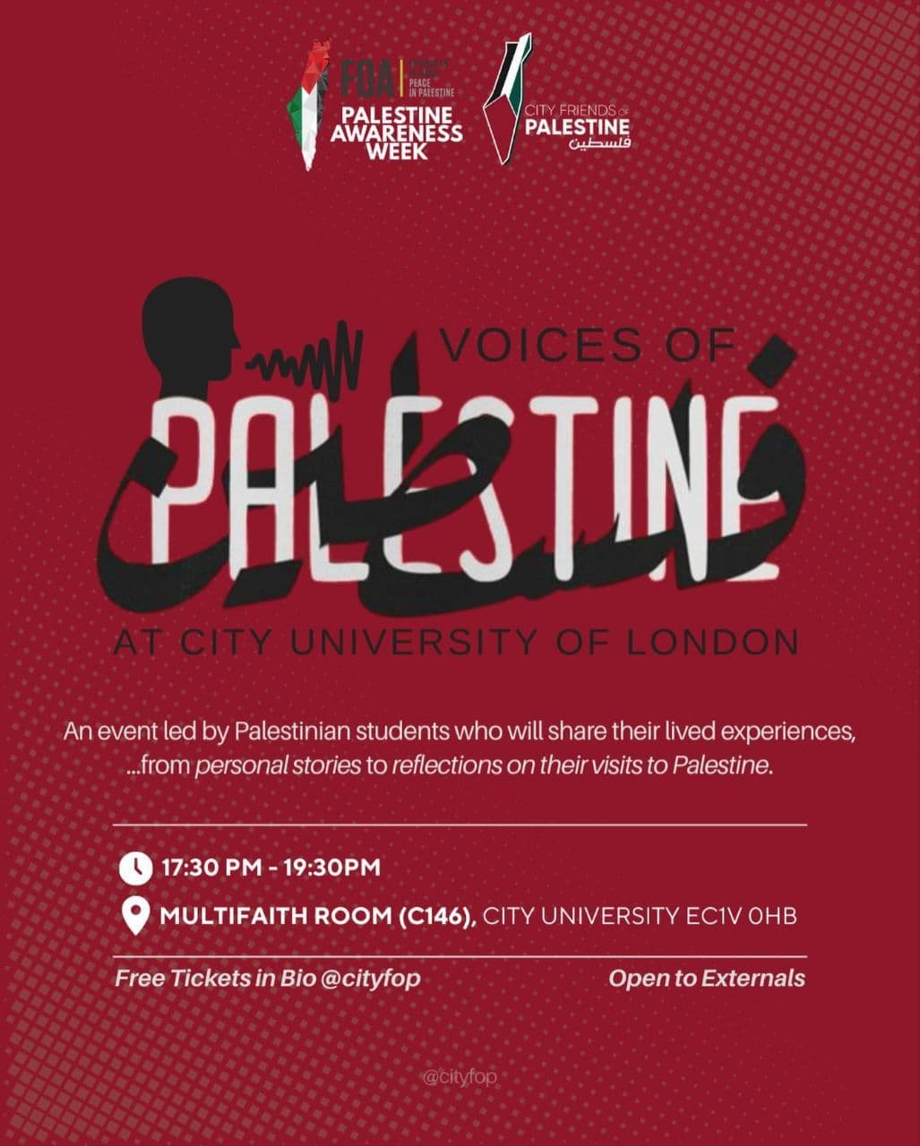 VOICES OF PALESTINE