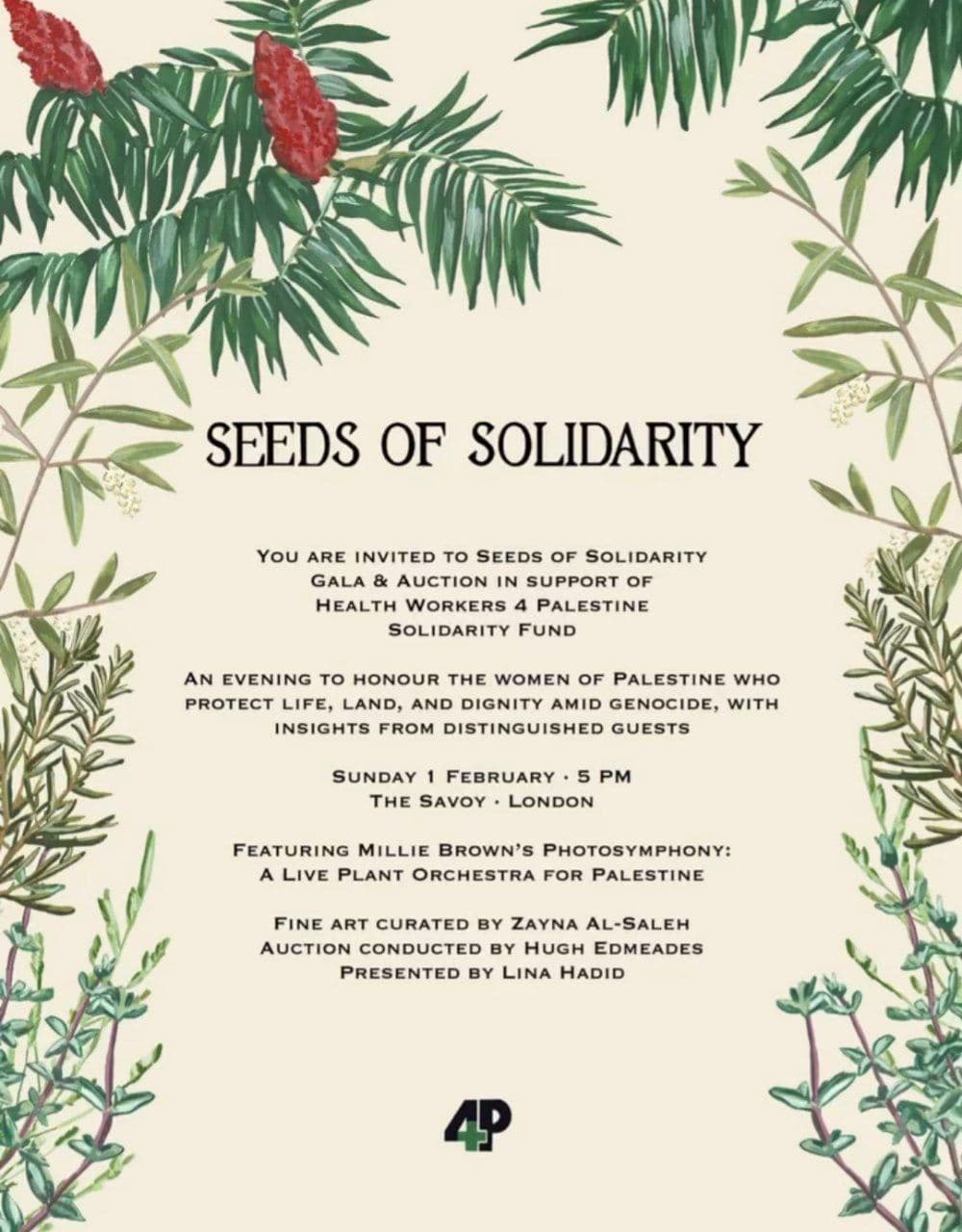SEEDS OF SOLIDARITY