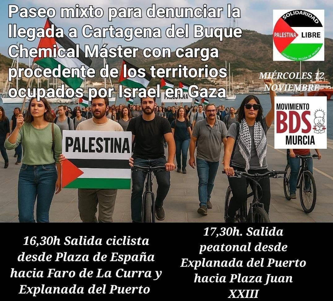 Miércoles 12 noviembre