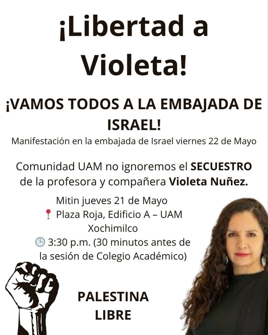 ¡Libertad a Violeta!