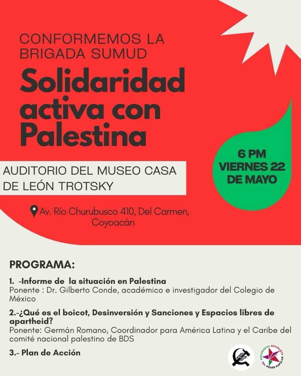 Solidaridad activa con Palestina