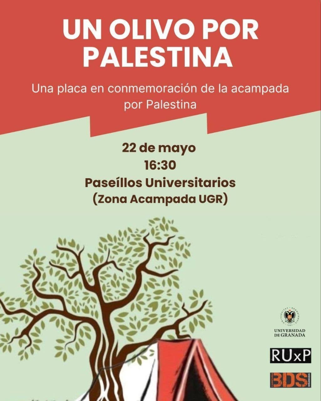 UN OLIVO POR PALESTINA
