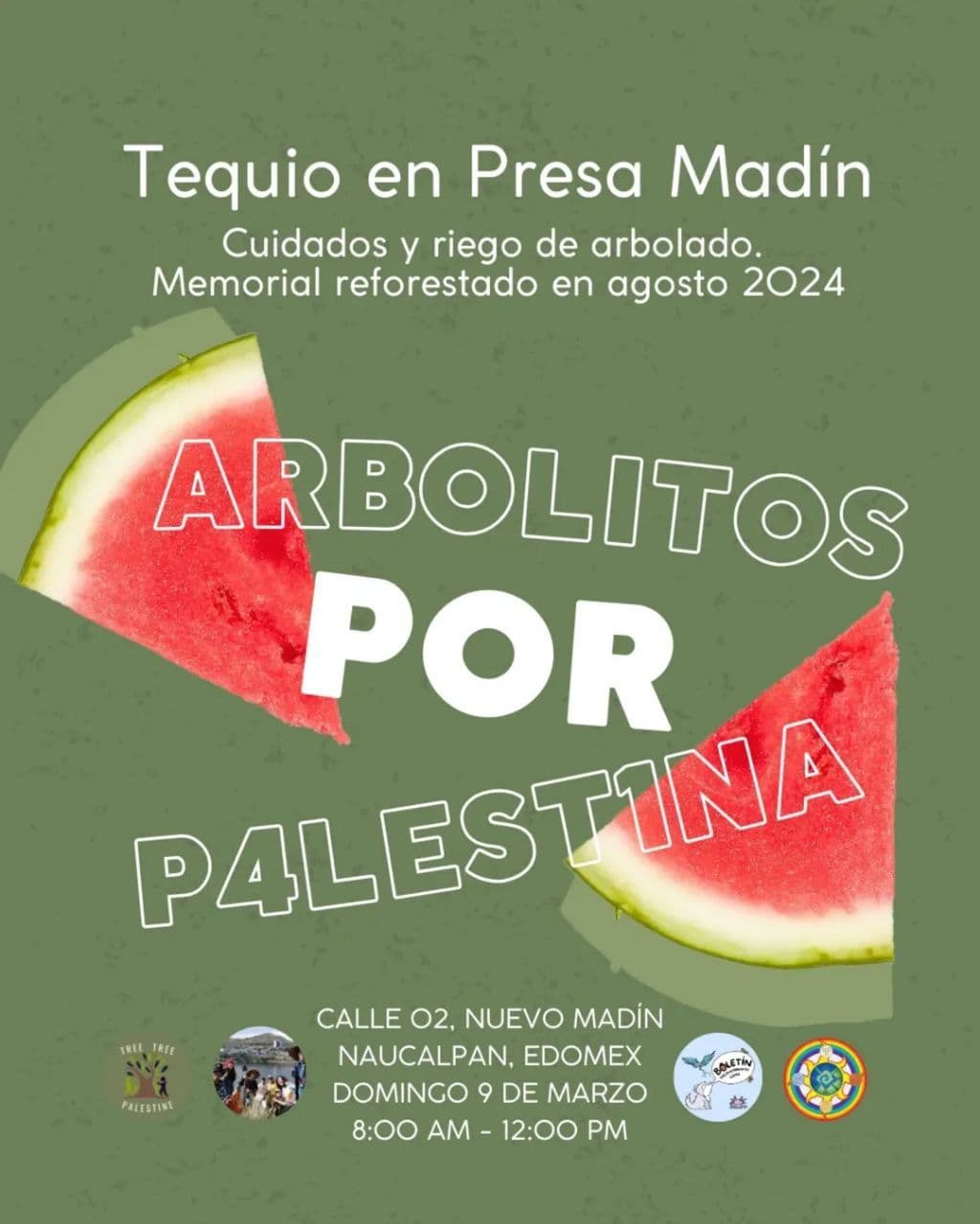 ARBOLITOS POR PALESTINA