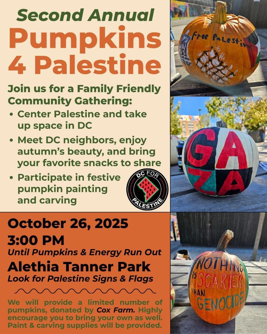 Pumpkins 4 Palestine