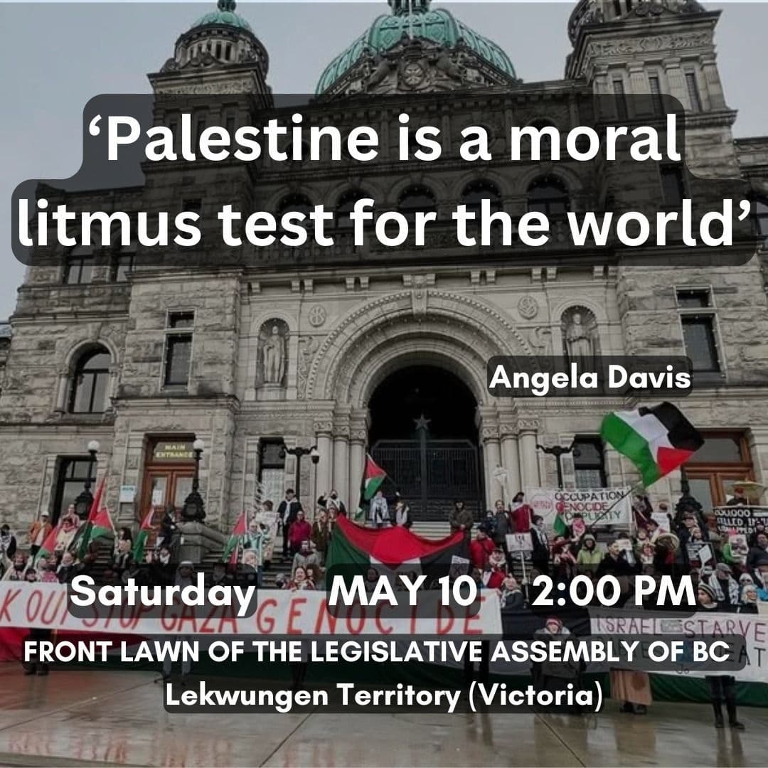 Palestine is a moral litmus test for the world