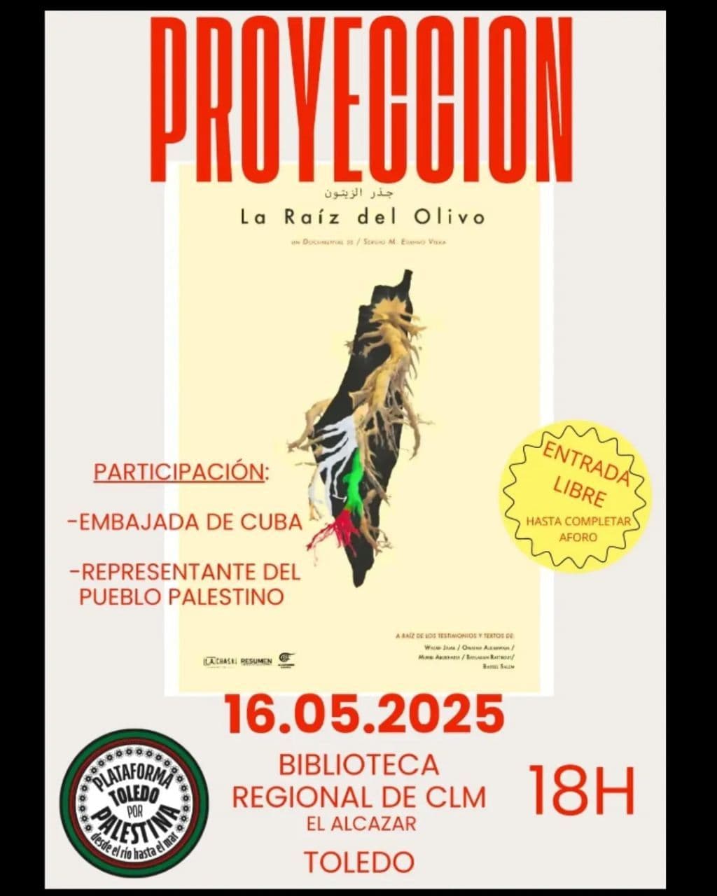 La Raíz del Olivo