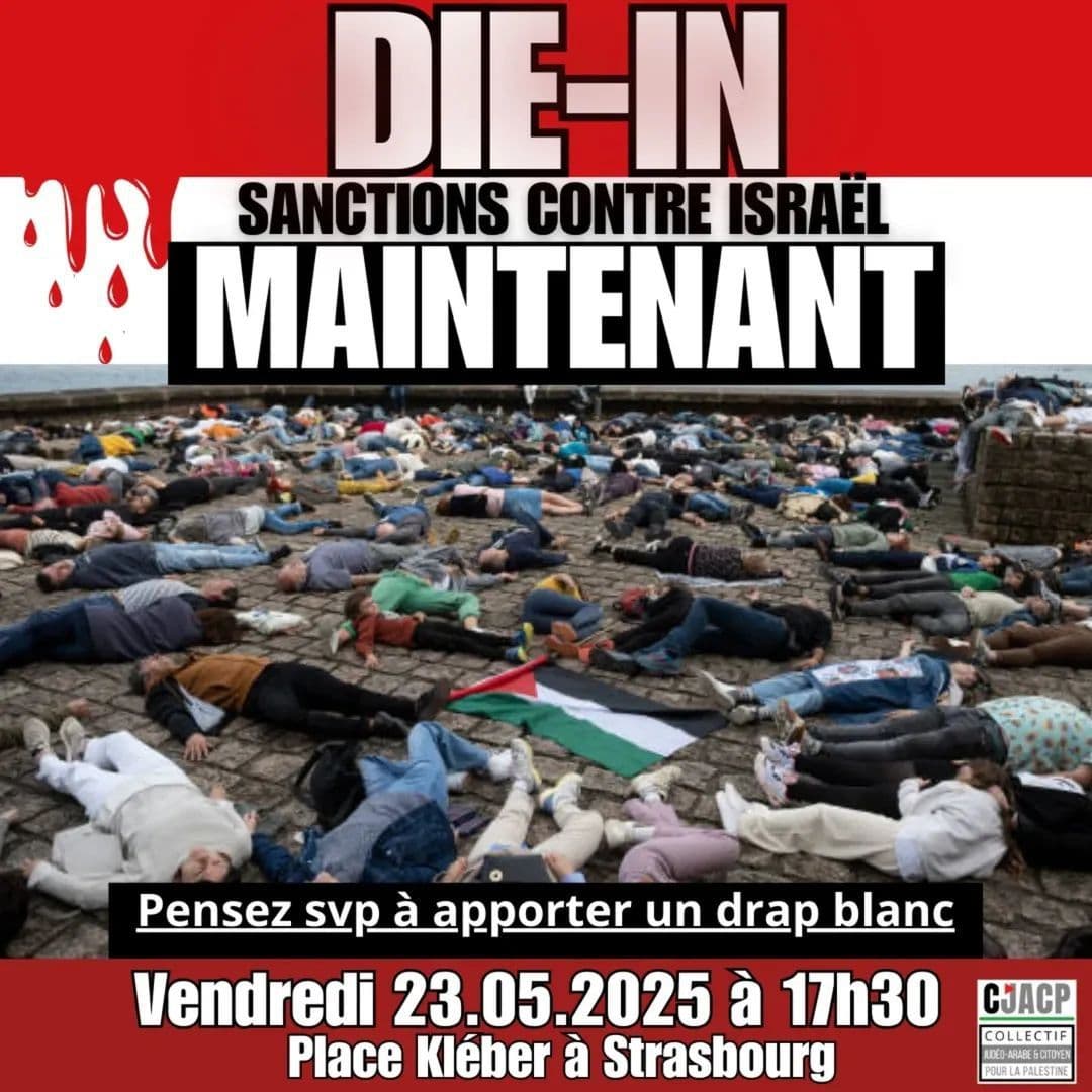 DIE-IN pour la Palestine