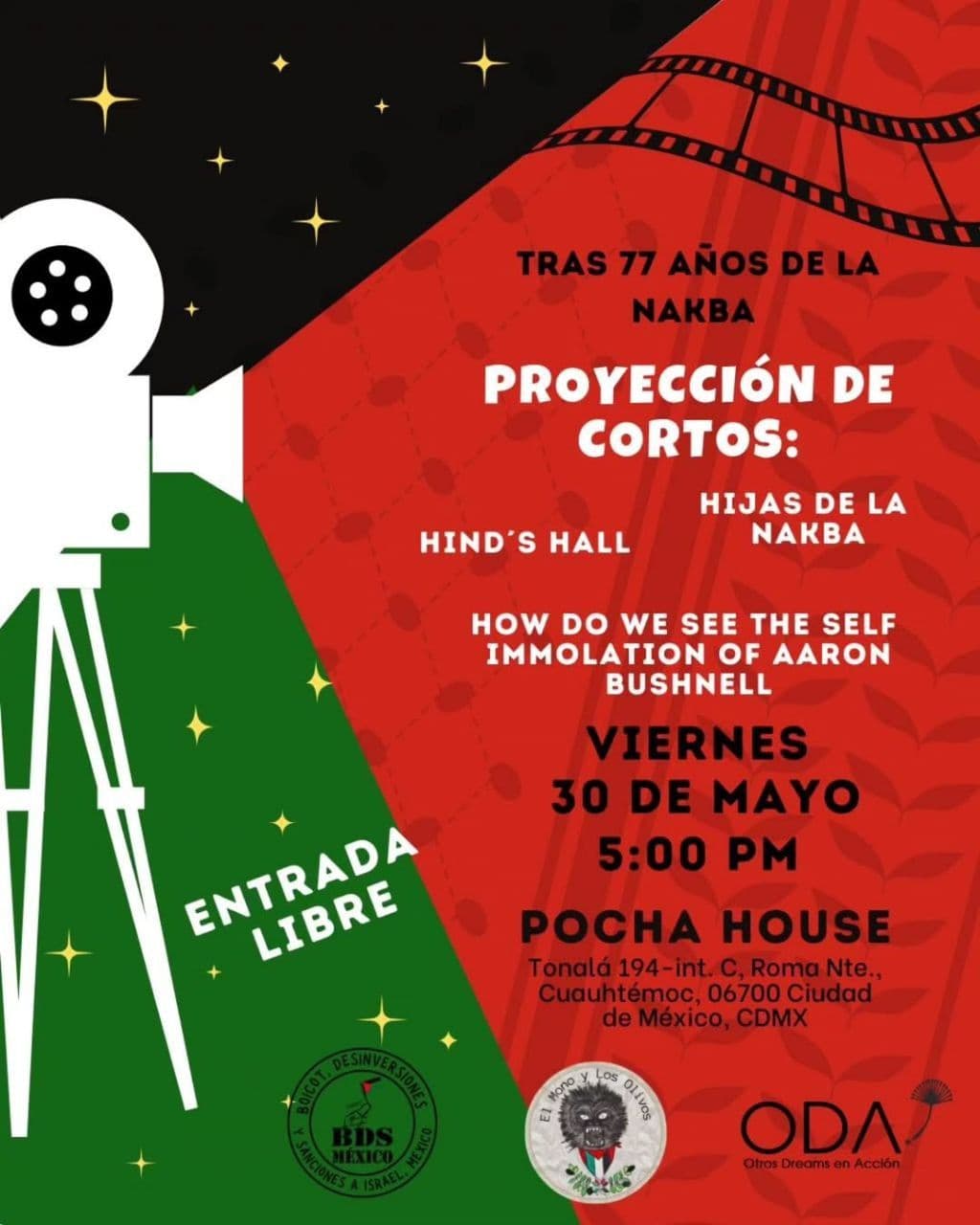 PROYECCIÓN DE CORTOS