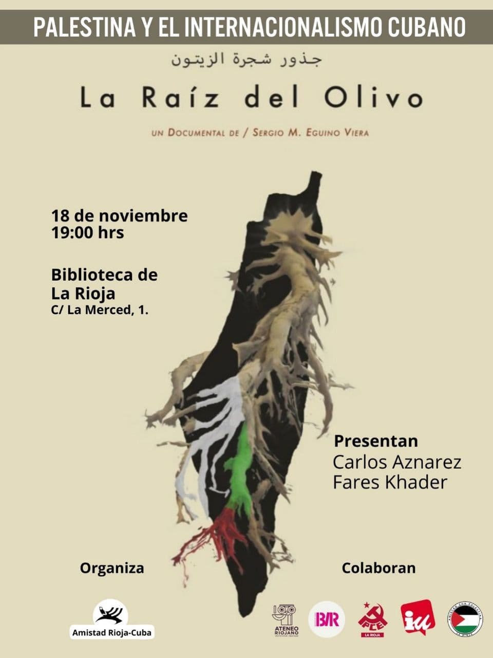 La Raíz del Olivo