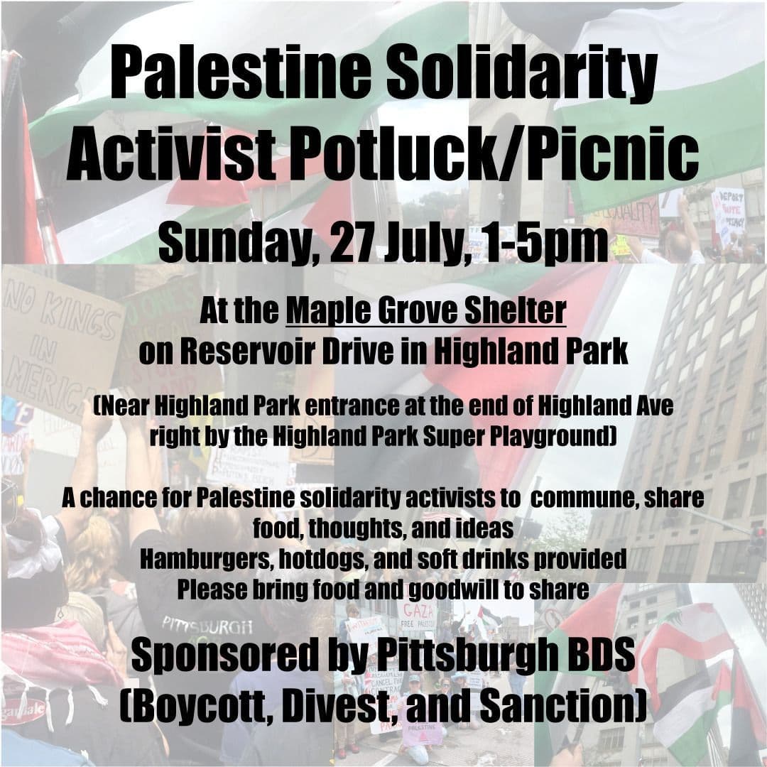 Palestine Solidarity Activist Potluck/Picnic