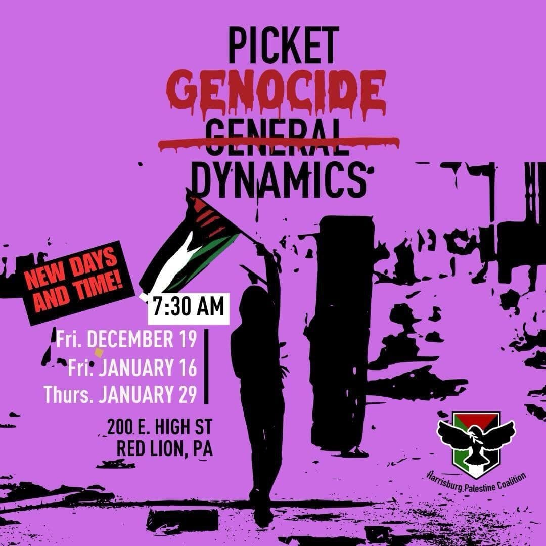 PICKET GENOCIDE DYNAMICS