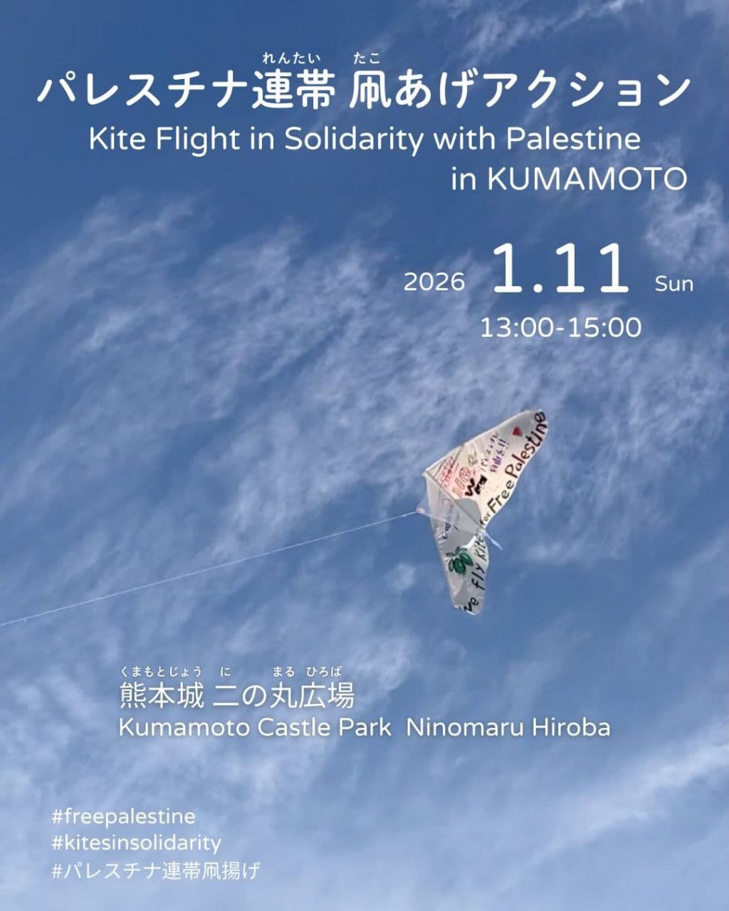 Kite Flight in Solidarity with Palestine