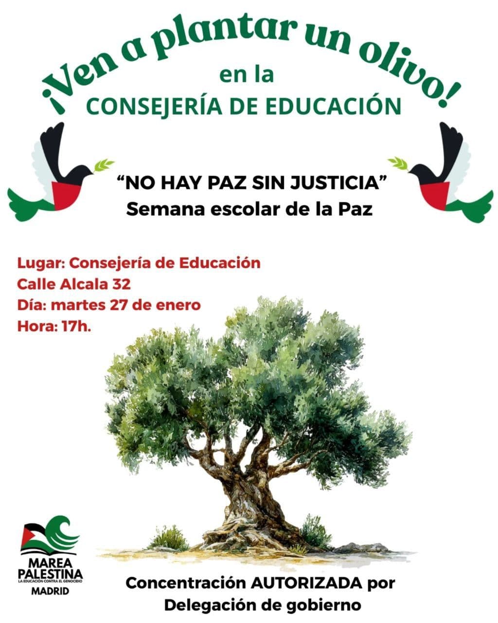 ¡Ven a plantar un olivo!