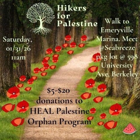 Hikers for Palestine