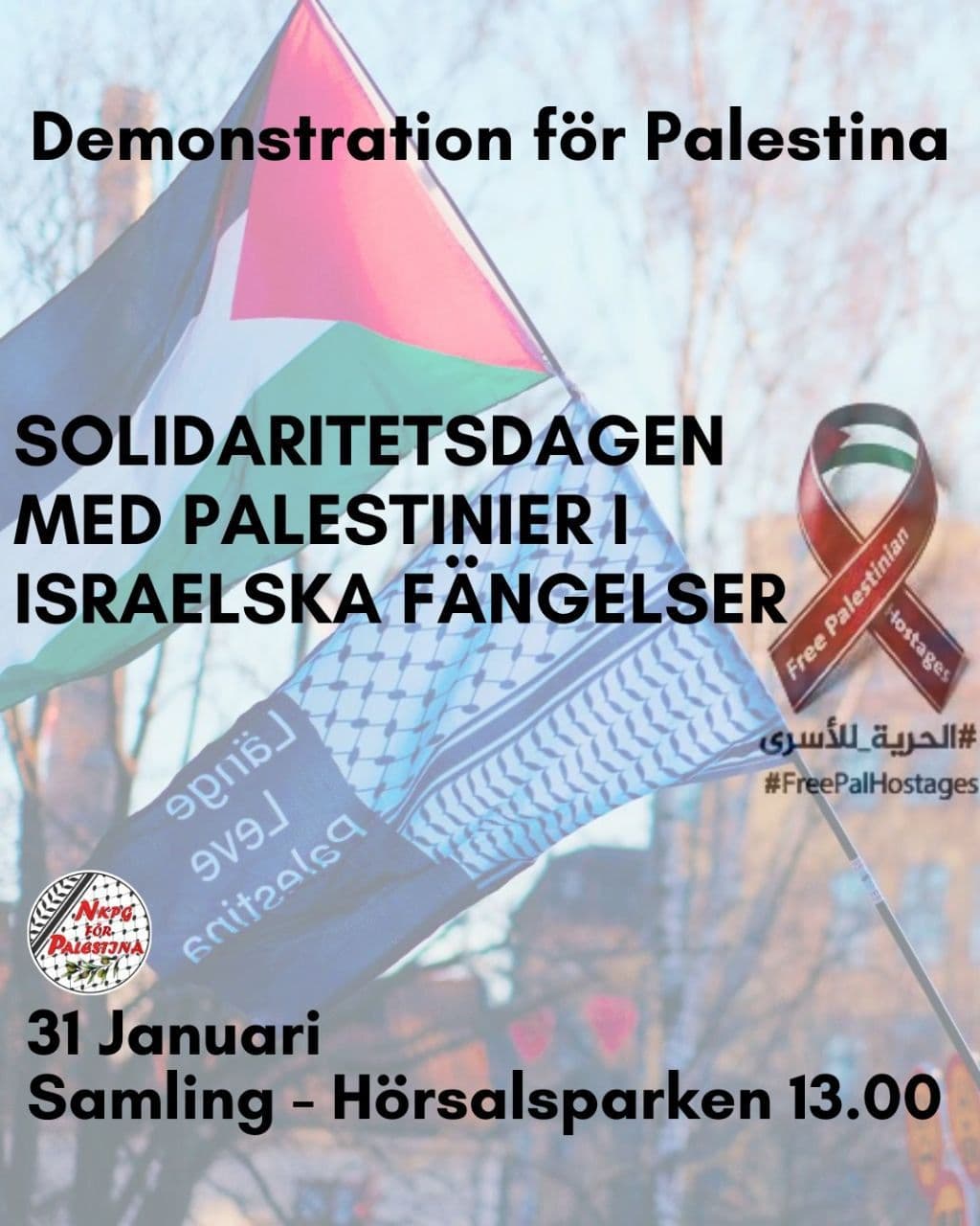Demonstration för Palestina