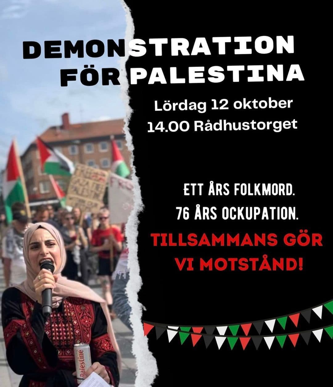 DEMONSTRATION FÖR PALESTINA