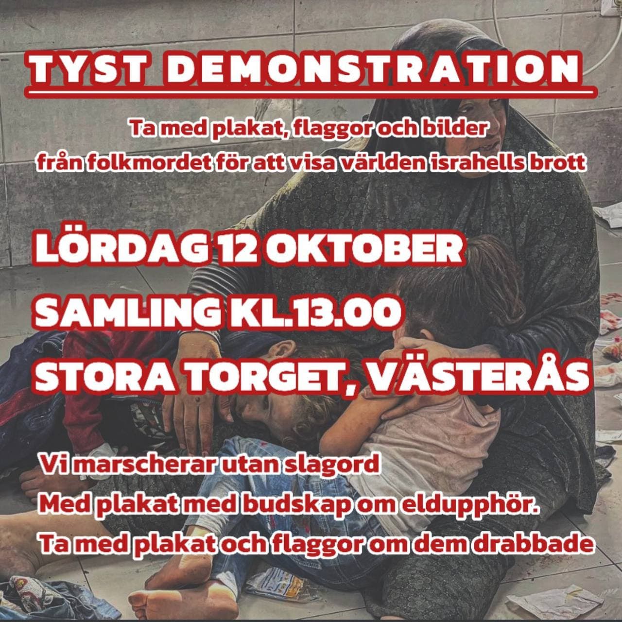 TYST DEMONSTRATION