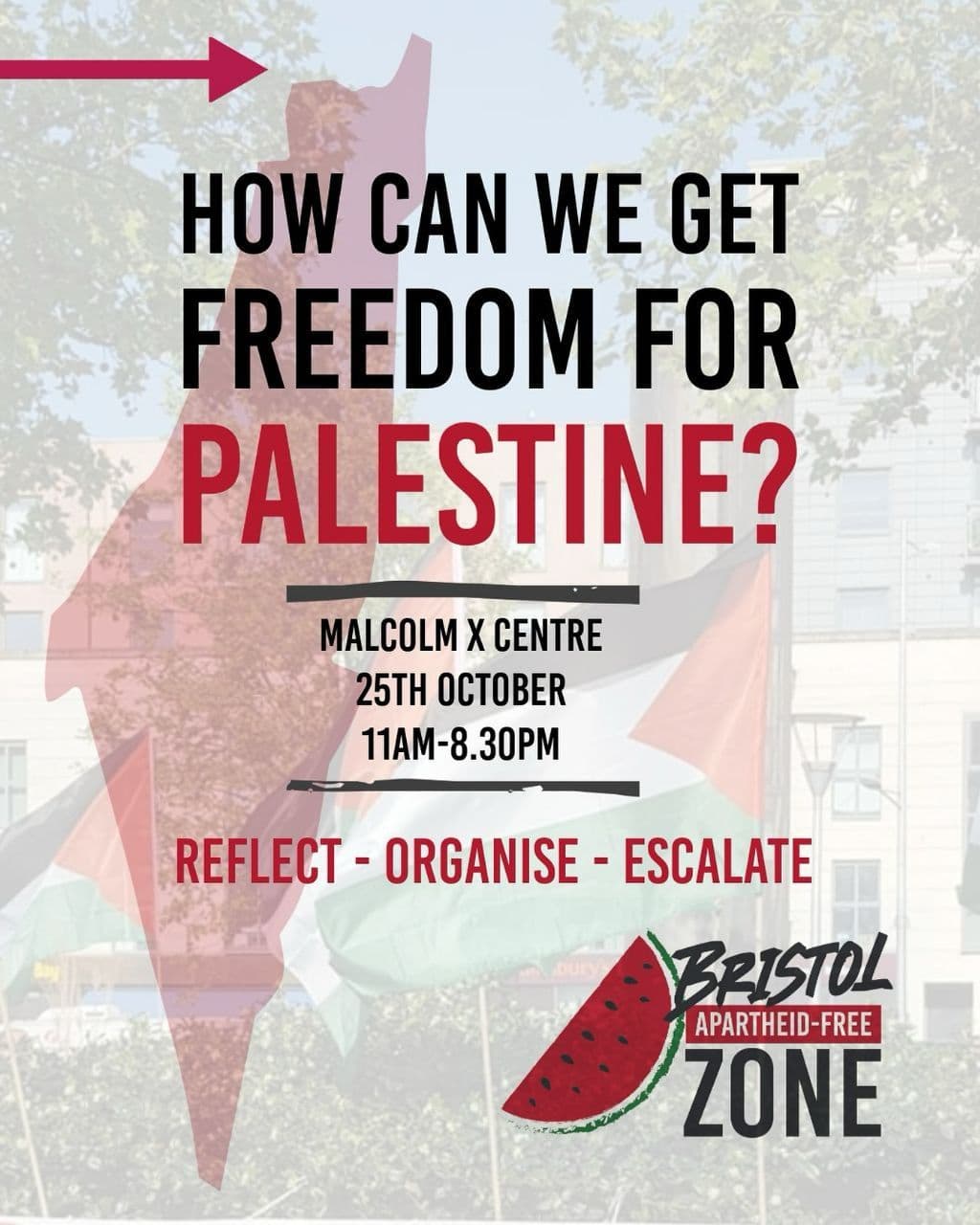 HOW CAN WE GET FREEDOM FOR PALESTINE?