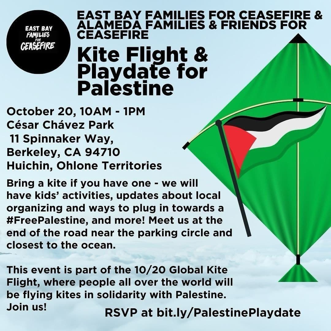 Kite Flight & Playdate for Palestine