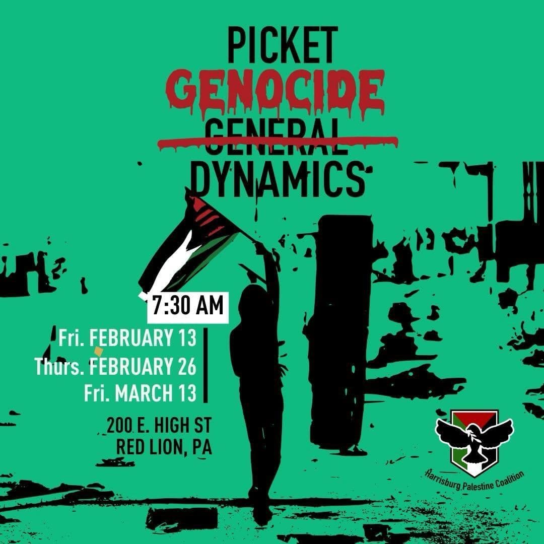 PICKET GENOCIDE DYNAMICS