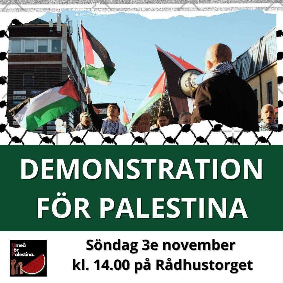 DEMONSTRATION FÖR PALESTINA