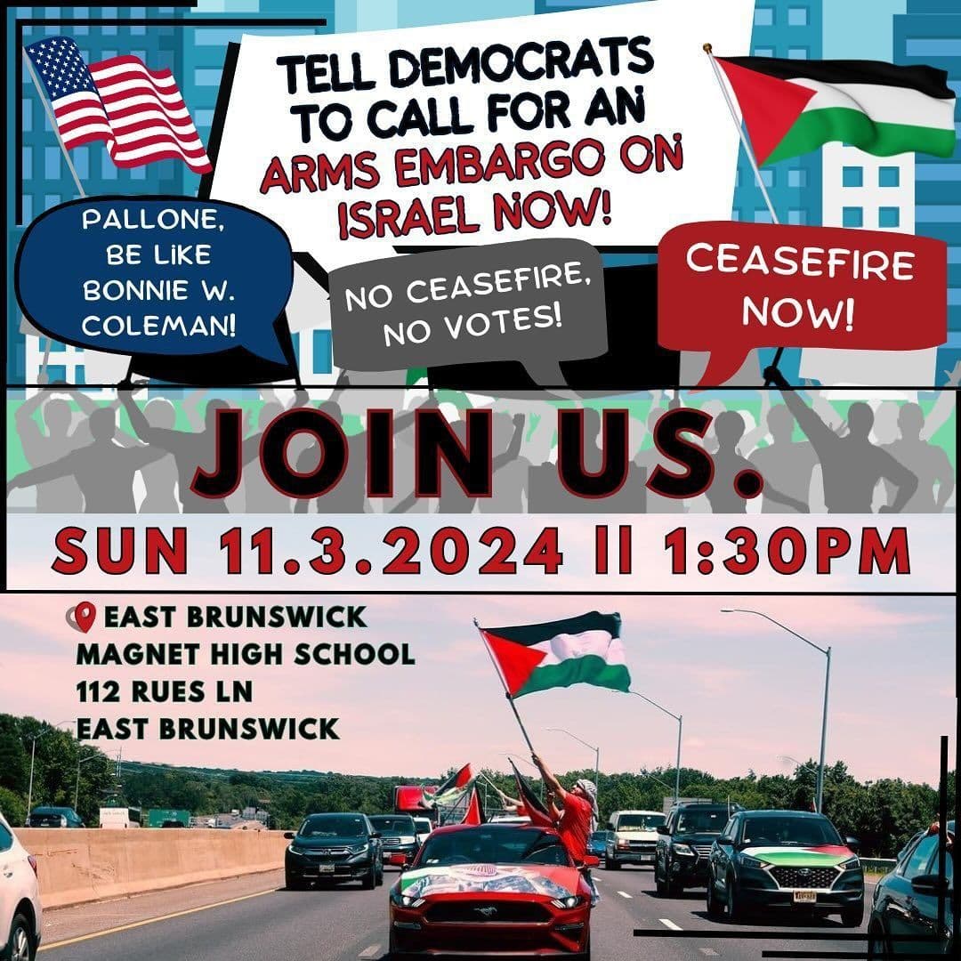 TELL DEMOCRATS TO CALL FOR AN ARMS EMBARGO ON ISRAEL NOW!