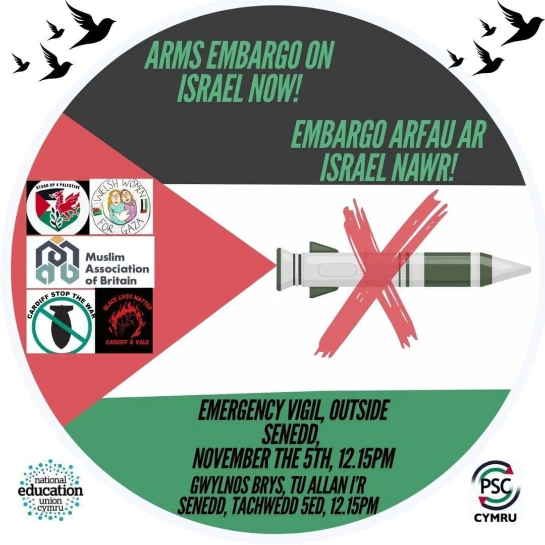 ARMS EMBARGO ON ISRAEL NOW!