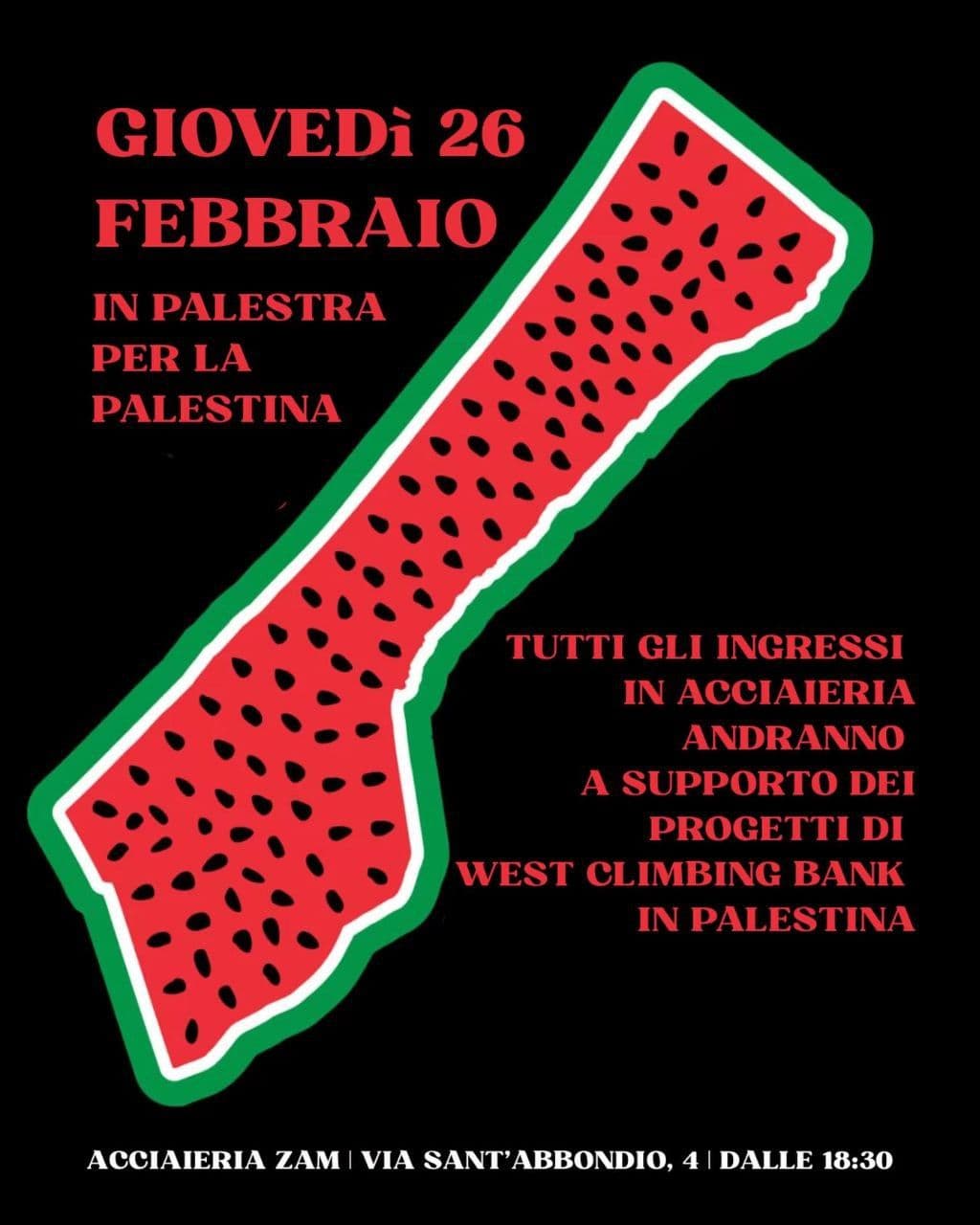 IN PALESTRA PER LA PALESTINA