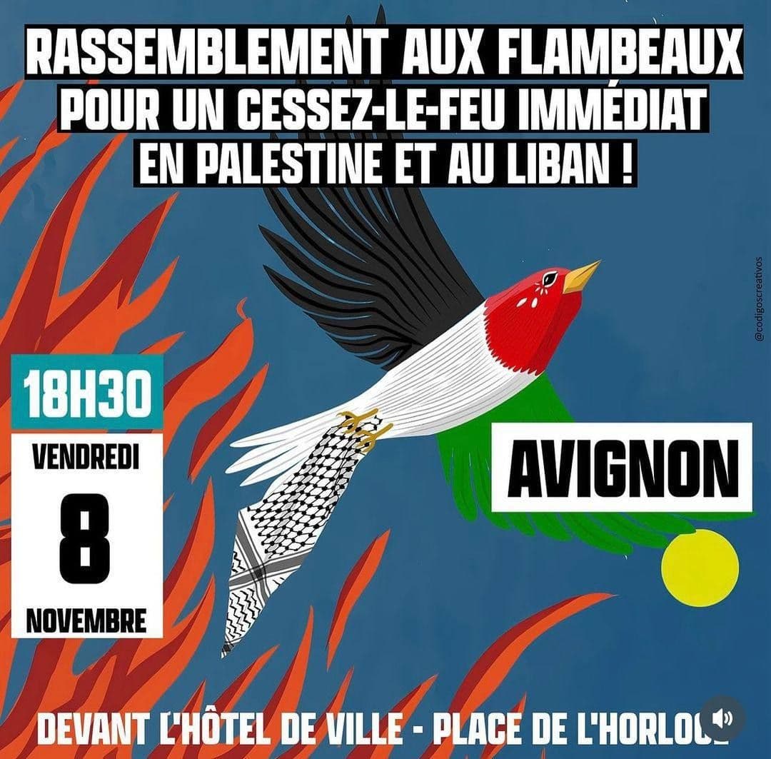 RASSEMBLEMENT AUX FLAMBEAUX POUR UN CESSEZ-LE-FEU IMMEDIAT EN PALESTINE ET AU LIBAN !