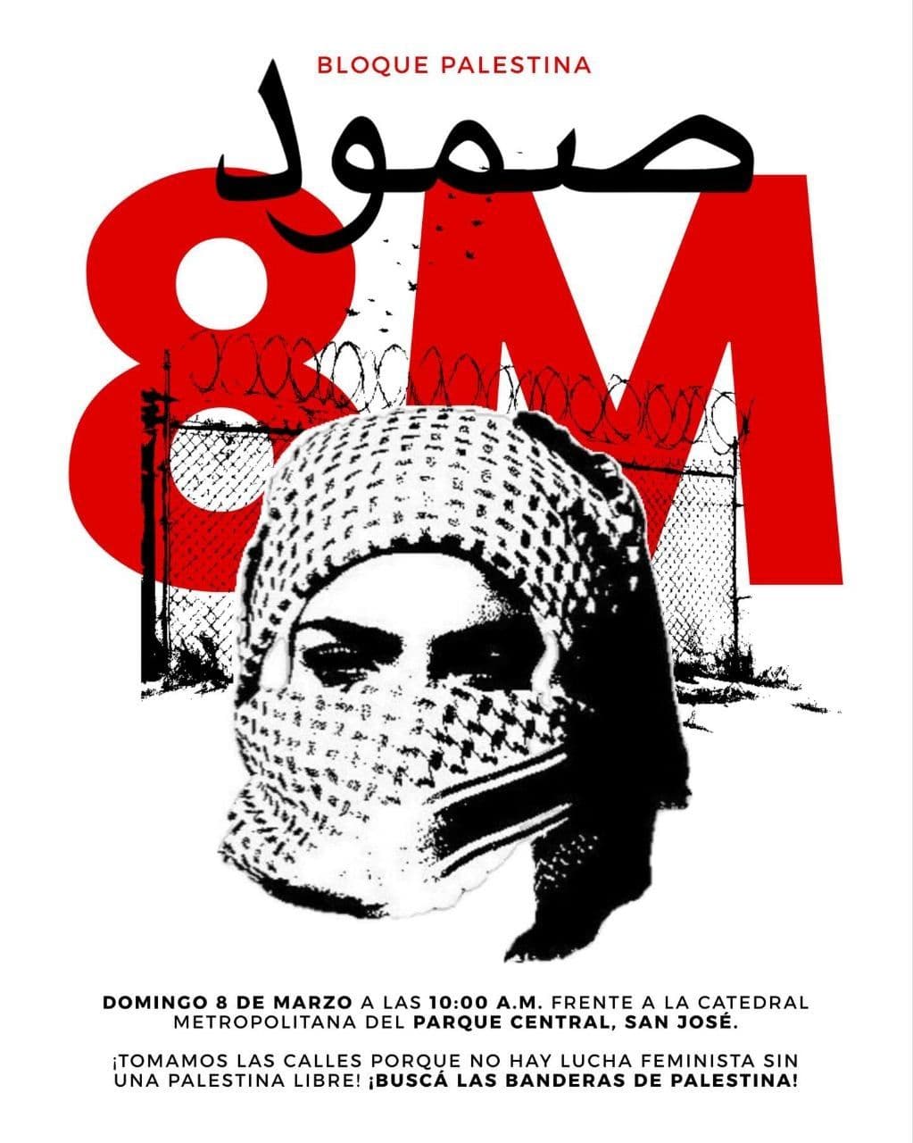 NO HAY LUCHA FEMINISTA SIN UNA PALESTINA LIBRE! 