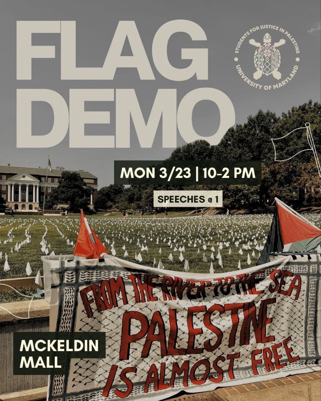 FLAG DEMO