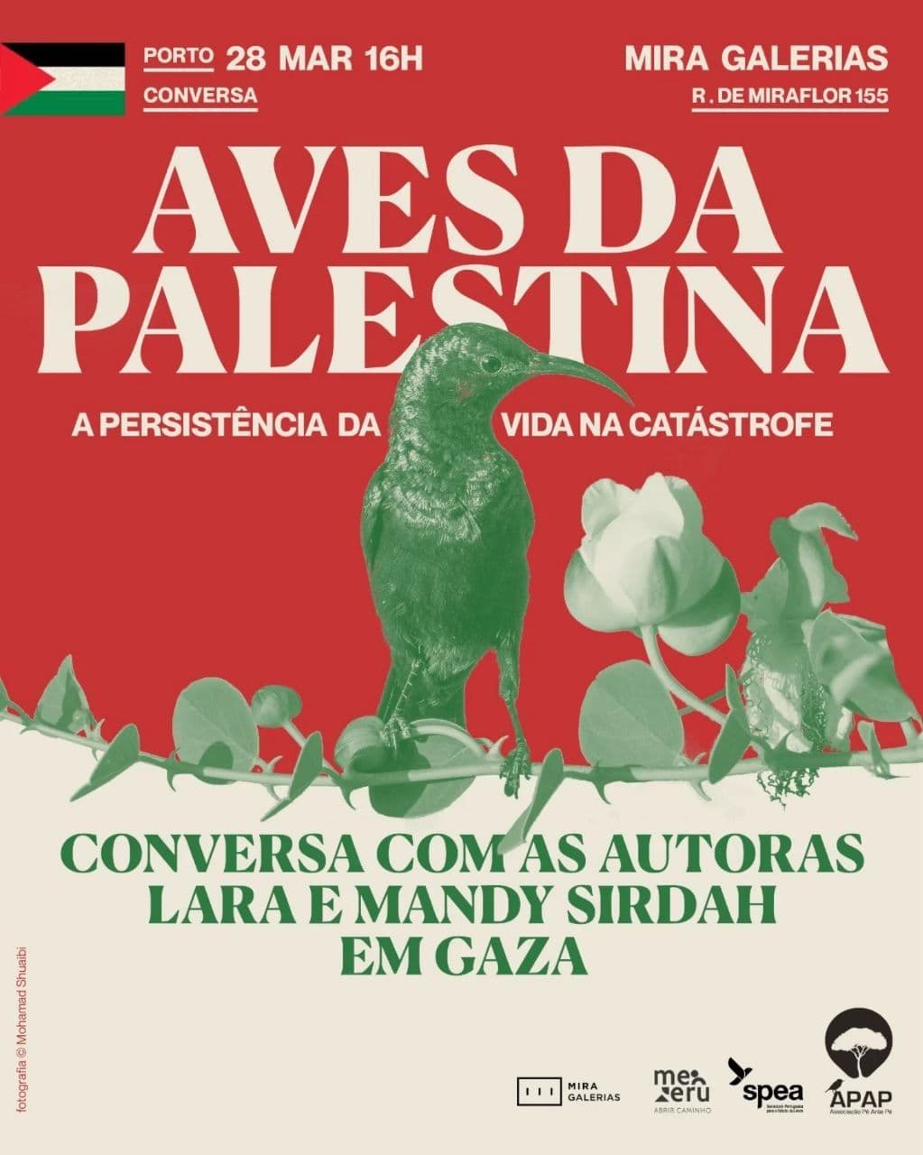AVES DA PALESTINA