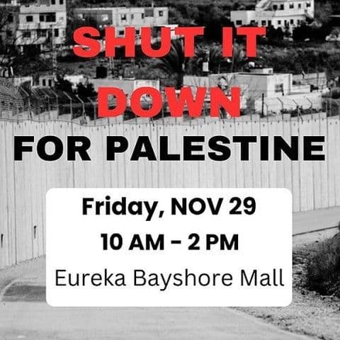 SHUT IT DOWN FOR PALESTINE